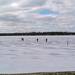 A woman was rescued by the Dexter Area Fire Department after driving her car onto Dexter Township's Portage Lake on Sunday, Feb. 17, 2013. Photo  courtesy of Amy Conway O'Brien